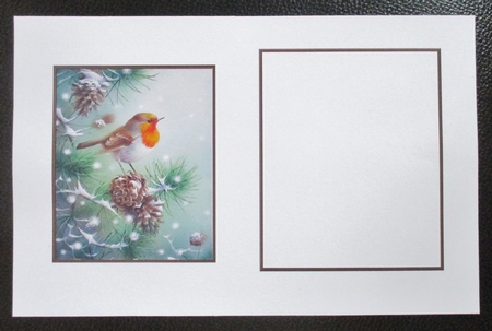 Pinecone Robin blank insert by Davina Rundle
