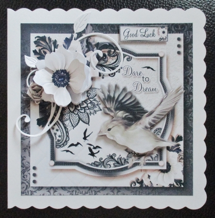 Dare to Dream by Davina Rundle