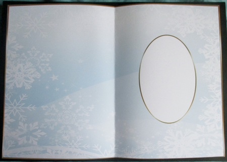 Christmas Snowflakes Insert 30 by Davina Rundle