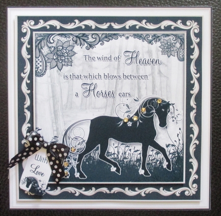 Delicate Words - Horse by Davina Rundle