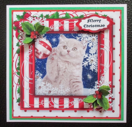 Cute Christmas Topper 1- Is This One for ME? by Davina Rundle