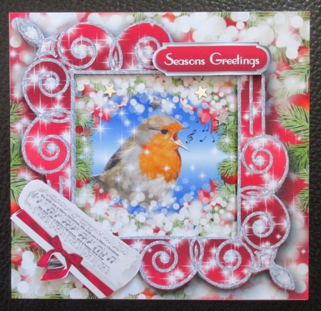 The Robins Song by Davina Rundle