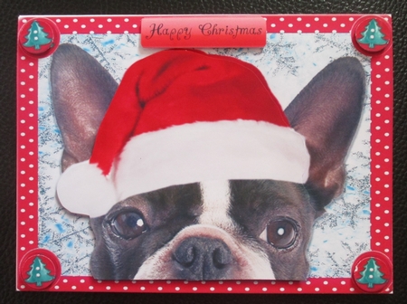 Festive French Bull Dog  by Davina Rundle