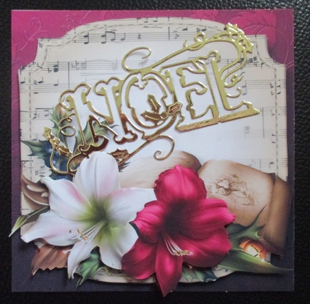 Sheet Music Christmas - Amaryllis & Book by Davina Rundle