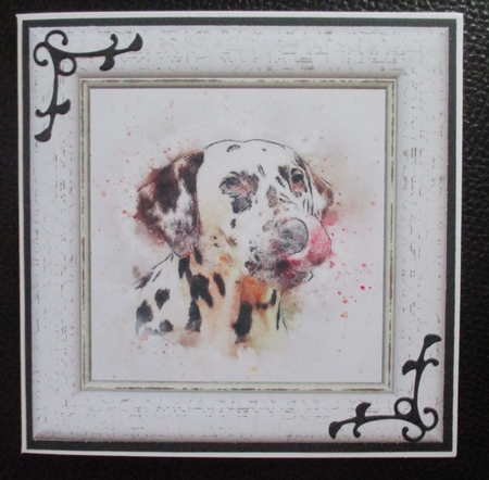 Watercolour Splatter Art - Dogs - Exclusive Bumper Kit by Davina Rundle