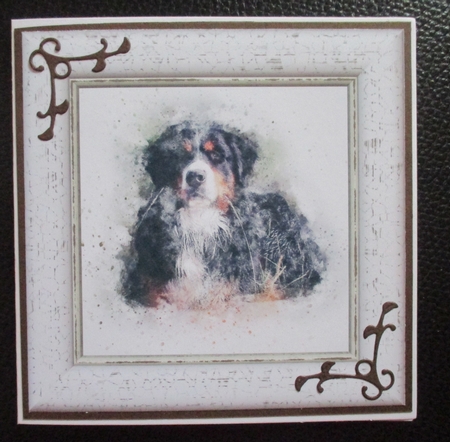 Watercolour Splatter Art - Dogs - Exclusive Bumper Kit by Davina Rundle