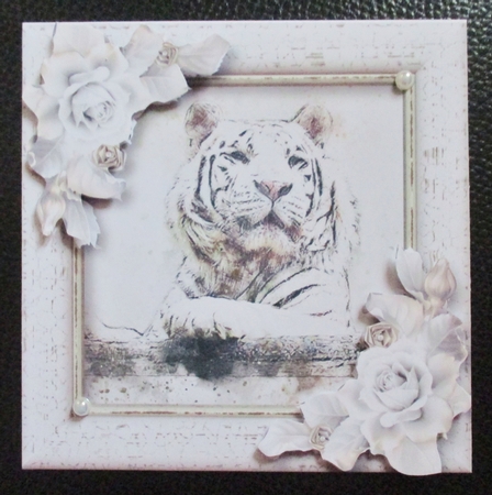 The White Tiger 8x8 by Davina Rundle