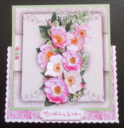 Beautiful Brier Roses on Sepia Lace  by Davina Rundle