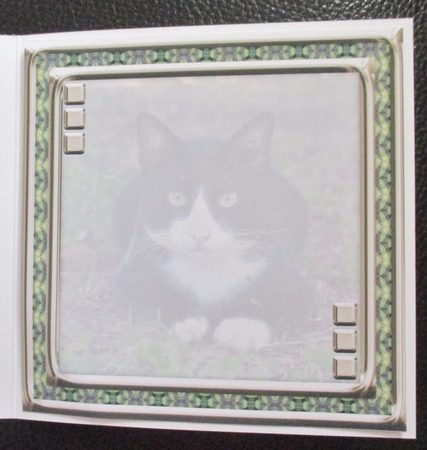 JJ LOVE MY CAT 3 8X8 INSERT BLANK by Davina Rundle