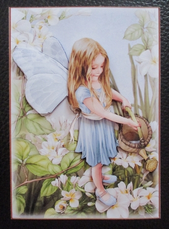 Forest Fairy Evie 4 Sheet Mini Kit Light Blue by Davina Rundle