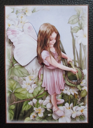 Forest Fairy Evie 4 Sheet Mini Kit Light Pink by Davina Rundle