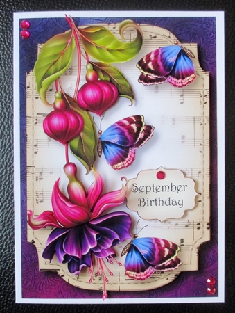 Sheet Music & Butterflies - Fuschias by Davina Rundle