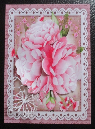 Beautiful Pink Peony Roses on lace by Davina Rundle