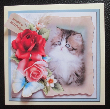 cat and red roses by Davina Rundle