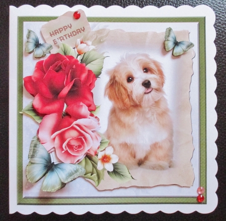 Dog and red roses by Davina Rundle