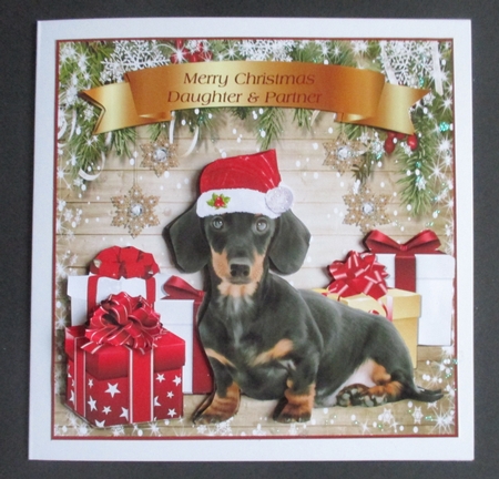 SANTA DACHSHUND  by Davina Rundle