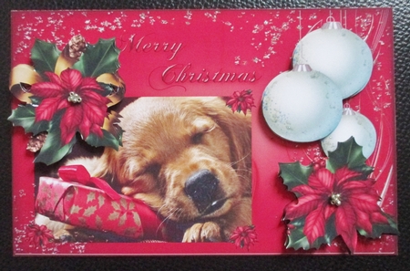 Waiting fot Santa by Davina Rundle