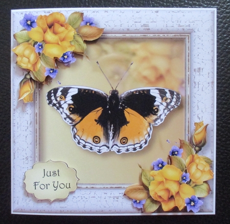 The Yellow Butterfly by Davina Rundle