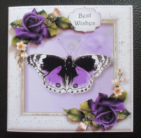 The Purple Butterfly by Davina Rundle