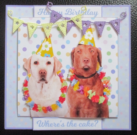 PARTY ANIMALS MINI KIT by Davina Rundle