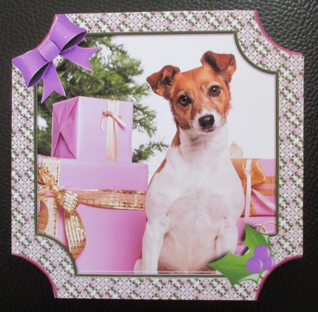 JJ PETS LOVE CHRISTMAS TOO JACK RUSSELL WITH GIFTS 8X8 by Davina Rundle