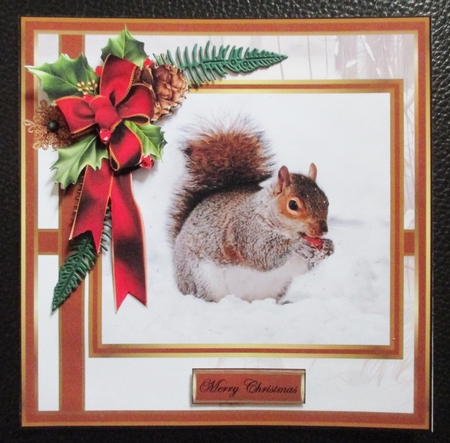 Squirrell enjoying a treat by Davina Rundle
