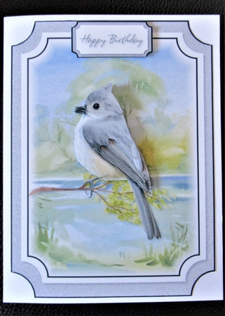 Bird 6 by Davina Rundle