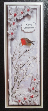 The Christmas Robin Lge DL by Davina Rundle