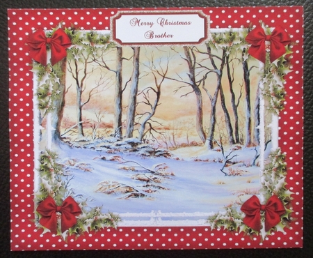 Beautiful Woods in Winter   by Davina Rundle