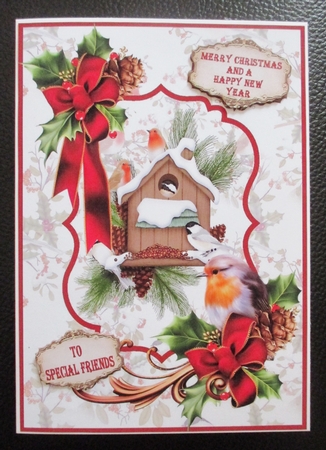 Christmas feathered friends by Davina Rundle