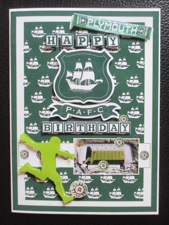Football Plymouth Argyle  by Davina Rundle