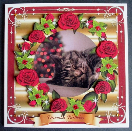 SLEEPY CAT AT CHRISTMAS MINI KIT by Davina Rundle