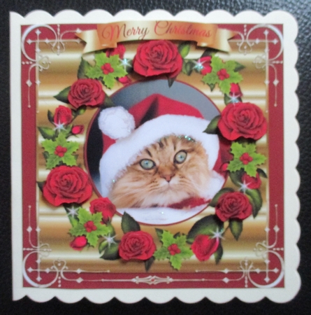 QUICK CARD TOPPER - CHRISTMAS CAT IN THE HAT! by Davina Rundle