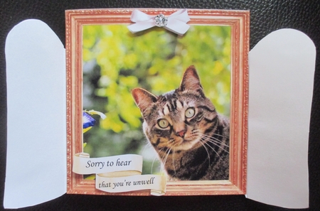 6x6 THROUGH THE GARDEN GATES TABBY CAT MULTI USE GET WELL BIRTHDAY ETC 6x6 UNISEX 13 by Davina Rundle