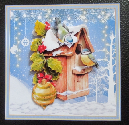 Winter Bird House Clipart by Davina Rundle