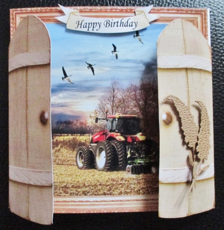 THROUGH GARDEN GATES  MULTI USE GET WELL BIRTHDAY ETC 6x6 DOWN ON THE FARM 1 by Davina Rundle