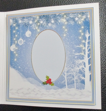 Winter Wonderland Insert approx:7x7ins by Davina Rundle