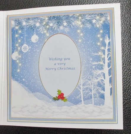 Winter Wonderland Insert 1 approx:7x7ins by Davina Rundle