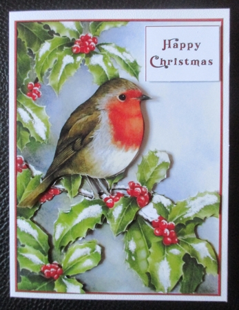 Holly Robin Decoupage by Davina Rundle
