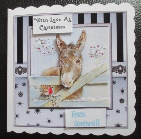 Little Christmas Donkey   by Davina Rundle
