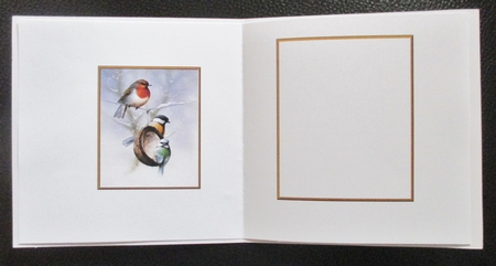 Feeding at the Coconut blank Insert by Davina Rundle