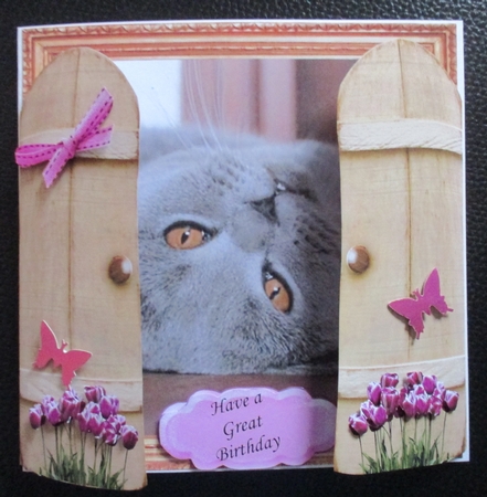 THROUGH GARDEN GATES  MULTI USE 6x6 GUILTY GREY CAT by Davina Rundle