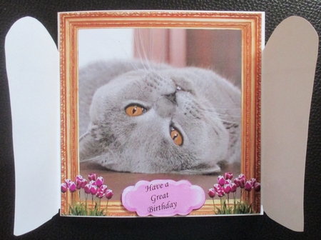 THROUGH GARDEN GATES  MULTI USE 6x6 GUILTY GREY CAT by Davina Rundle