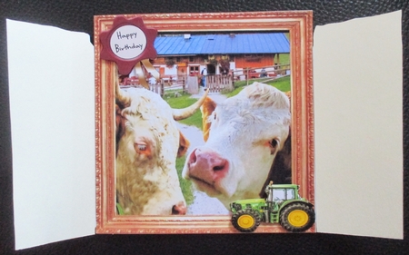 THROUGH THE BARN DOORS  MULTI USE 6x6 FIRST PRIZE FARMER by Davina Rundle