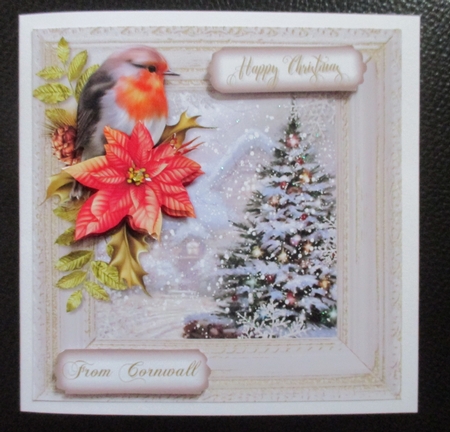 Robin Winter Scene 4 by Davina Rundle