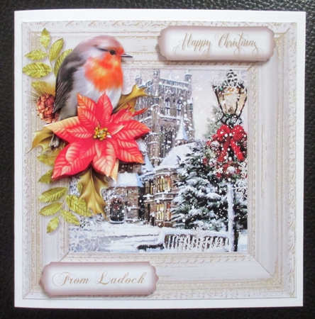 Robin Winter Scene 8 by Davina Rundle