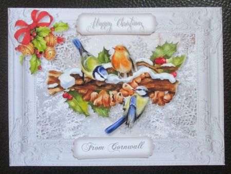 Winter Birds 1 by Davina Rundle