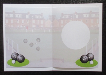 insert Bowls Phone by Davina Rundle