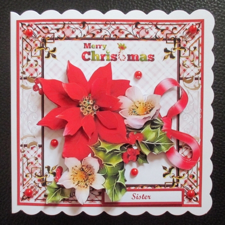 Frans Christmas Flowers 6 x 6 mini kit by Davina Rundle