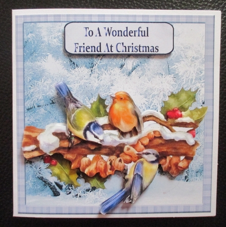 Christmas bird#3 by Davina Rundle